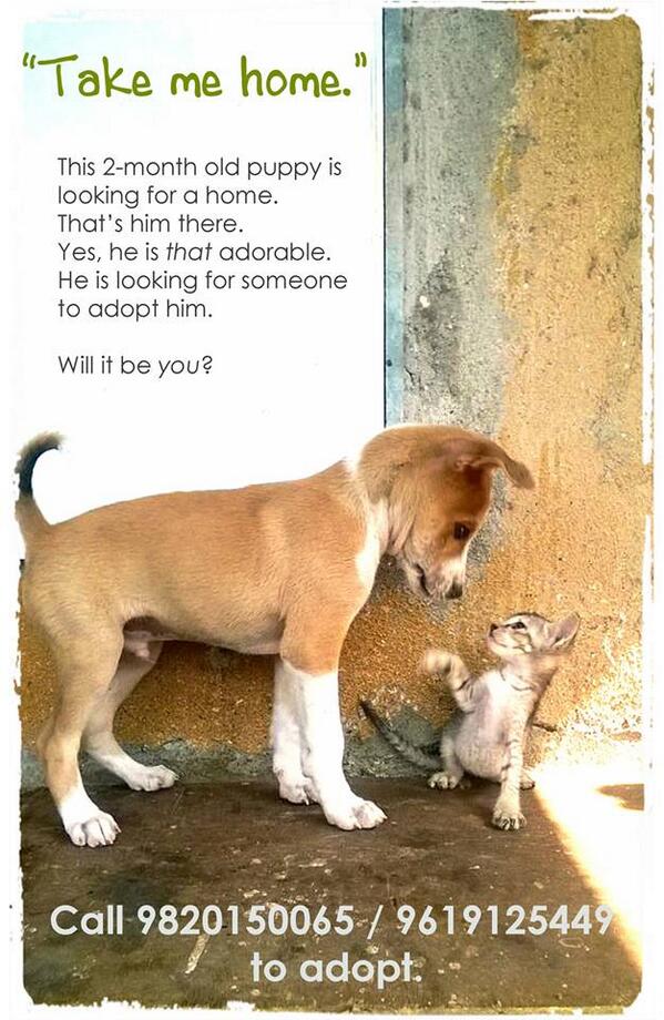 Avantika tweet media