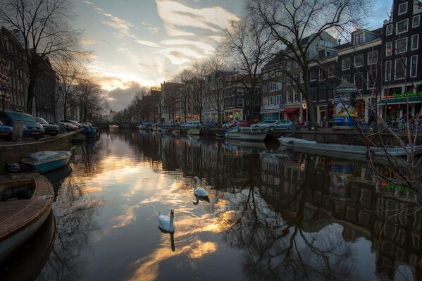 Gabriele_Corno's tweet photo. Amsterdam by Mirko Iannone #swan http://t.co/qmrmTnTRgZ
