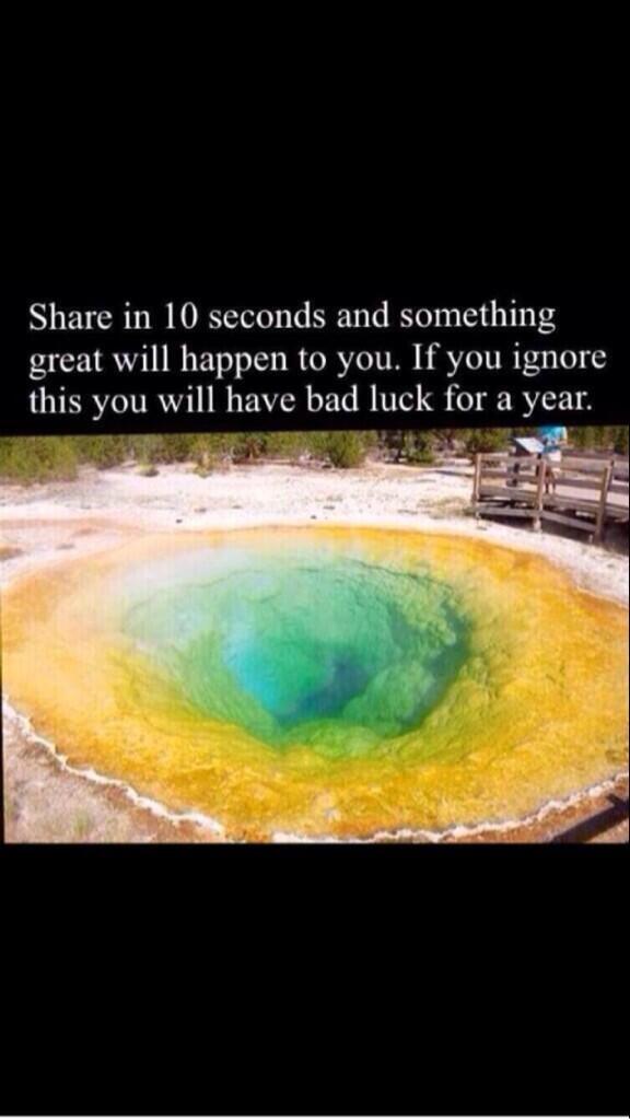 WildHemmo96 tweet picture