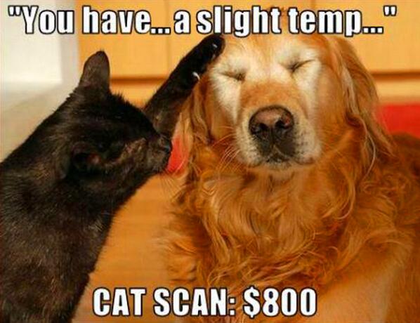 real or photoshop? tweet media