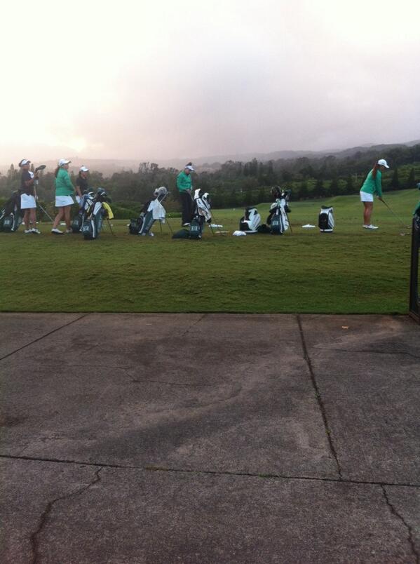 Ben Hongo tweet media