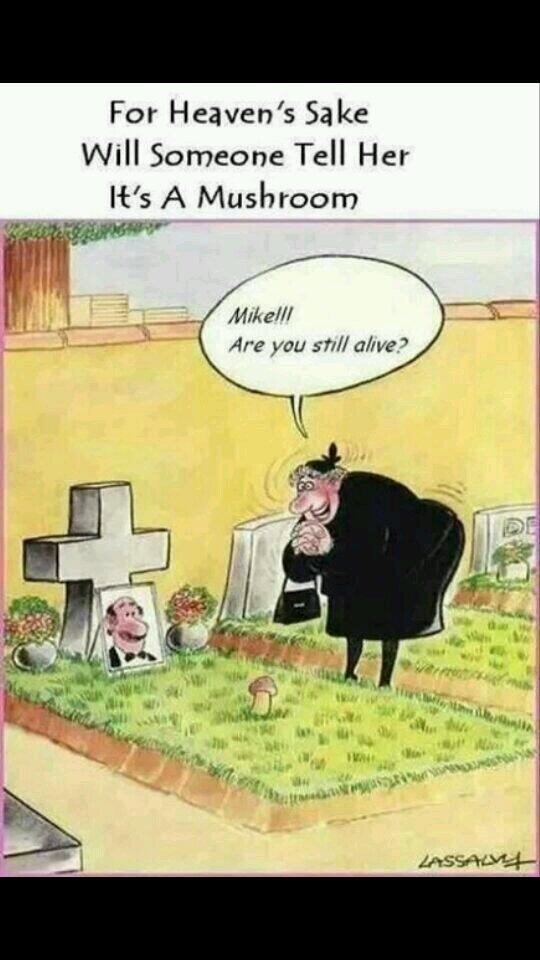 nuala coughlan tweet media