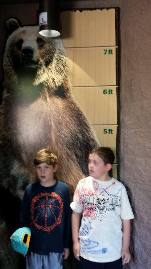 KevinMilcic's tweet photo. Spent a couple hours at the Reid Park Zoo in Tucson with Kyle and his friend Sam. http://t.co/WO0EwT58m3
