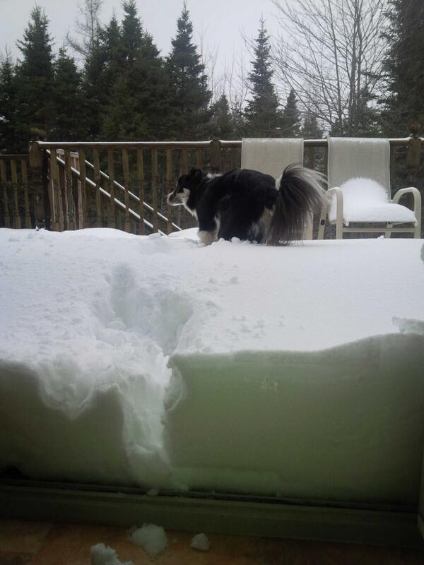 SaylorPerry's tweet image. 