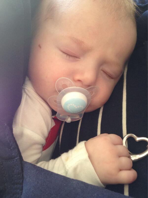 Little buddy slept through takeoff and is still snoozing:)