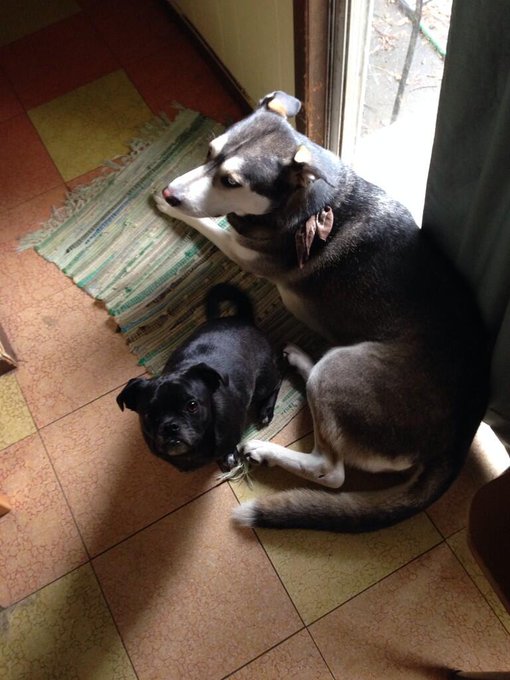 @_ConnerJay 😌 http://t.co/iIEix6svT9<a class="tags" target="_blank" title="On Twitter" href="/?out=eyJ0eXAiOiJKV1QiLCJhbGciOiJIUzUxMiJ9.eyJpYXQiOjE3MjQxMzkzNTYsImlzcyI6InR3cG9ybnN0YXJzLmNvbSIsIm5iZiI6MTcyNDEzOTM1NiwiZXhwIjoxNzU1Njc1MzU2LCJyZWRpcmVjdF91cmwiOiJodHRwczovL3R3aXR0ZXIuY29tL19Db25uZXJKYXkifQ.q9qnqnPYs6dBiblHHQHQ4tTmxKMExJVKze_5MybEPM1pD2QFtiQDv2zNWHE7CseDlC-gTz1m9xkskSsjXv4q1g">@_ConnerJay</a><a href="/tag/godsgirls"class="tags"><span>#godsgirls</span></a>