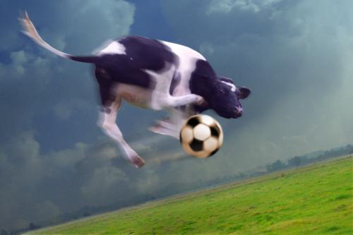 Barcelonismos's tweet photo. Gooooooooooooool http://t.co/ln2aV1vT7G