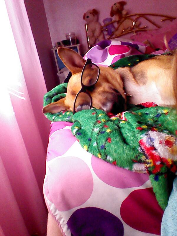 Cait (@cait103902) on Twitter photo 