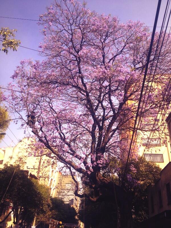 Wera Supernova🌟 tweet media