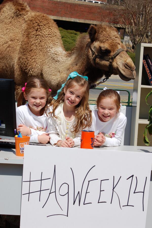 AuburnAg's tweet photo. The Ag Hill Picnic made us smile! #AgWeek14 continues tmrw w/ free, AL-produced breakfast on the Greenspace, 7:30-10. http://t.co/nL8dsVhCUl