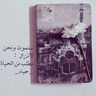 lloollo_ tweet picture