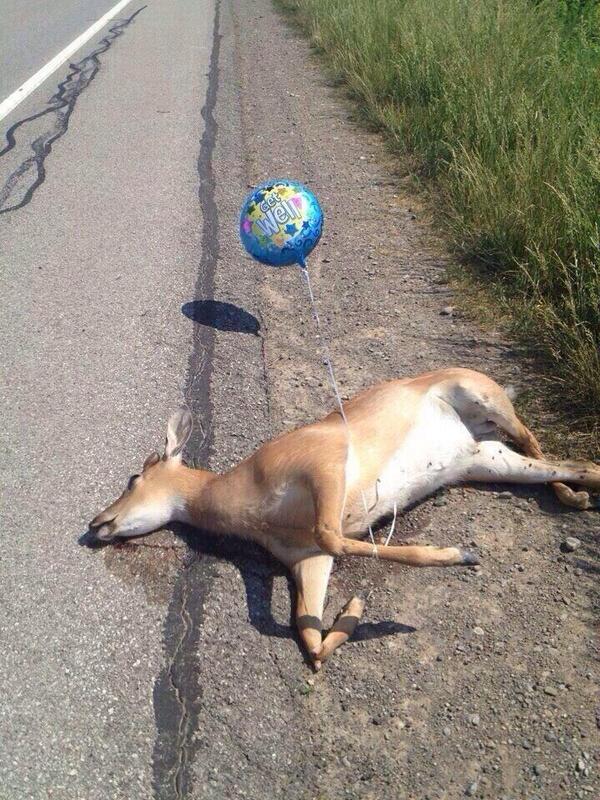 maceyjane1's tweet photo. “@Males_Thoughts: Who did this 😂 http://t.co/a5JWVtaADs”