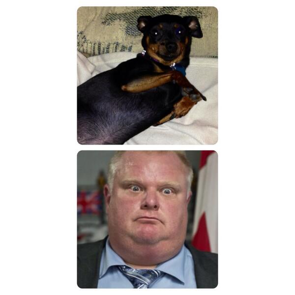 sarinamay93's tweet image. I don't have any babies.. Except for my dogs.. Hope this counts #ItDoesnt #RobFordBaby tiny.cc/instaframe