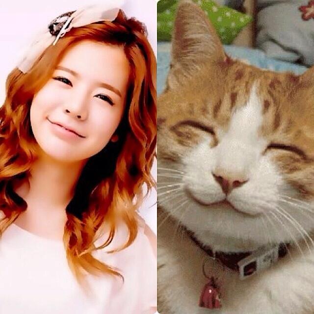 BjsJ9aiCMAEVtOg.jpg:large