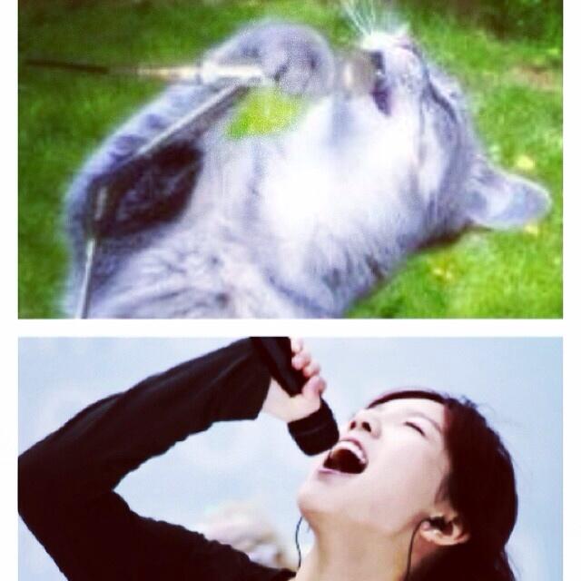 BjsKH3lCQAAxlTA.jpg:large