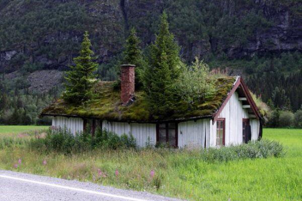 EaseySimon's tweet photo. Extensive green roofing ? @EaseyCleaver http://t.co/zGnphfbfEL