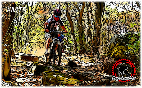CoyotesBike's tweet photo. Lalo, el coyote más joven de la jauría.
#MTB http://t.co/PtmpGxgpon