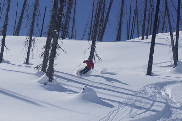 Colo_HeliSkier's tweet photo. Skiing through a burnt forest is magic. This is Rory Creek. CMH Bugaboos.
#heliskiing #burnttrees http://t.co/kehQvc2RXs