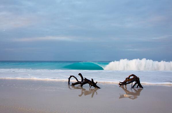 ree saunders tweet media