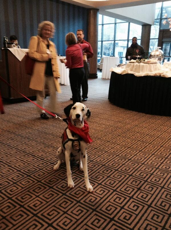 ProLiteracy's tweet photo. Dogs love #literacy and #firesafety too! MT @LindaJChurch: Meet Molly, a fire safety educator. #ifev2020 http://t.co/6tIiNCAAfT