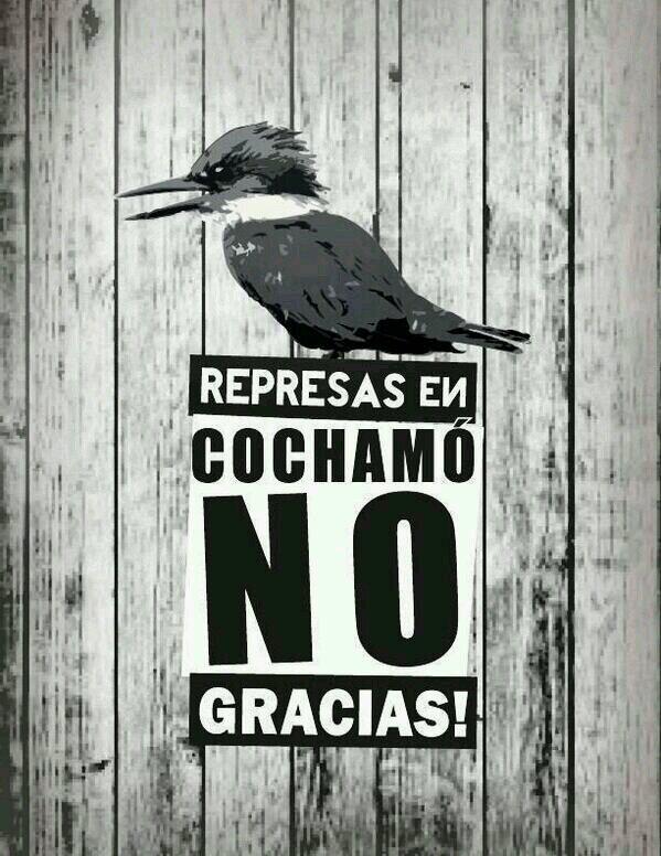 RoChicharro tweet picture