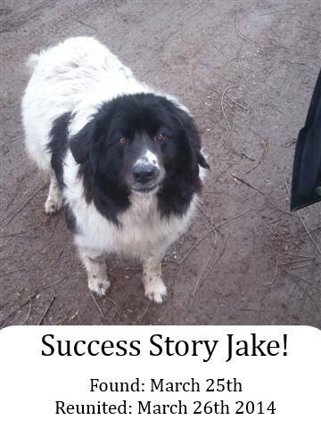 lostpetsofck tweet picture