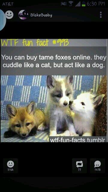 ErrorDefoko's tweet image. 