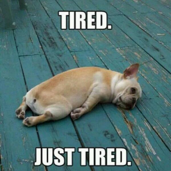 #dogtired