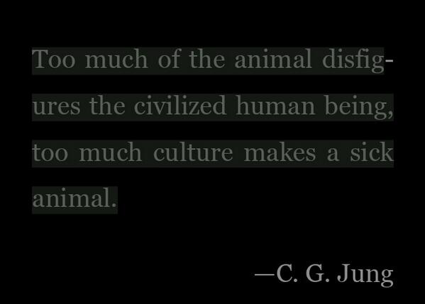 Letha Godfrey (@angelicheiress) on Twitter photo 