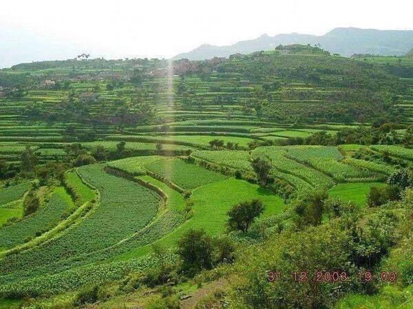 salemalyamani1's tweet image. صباحك جميل كجمال ارض السعيده