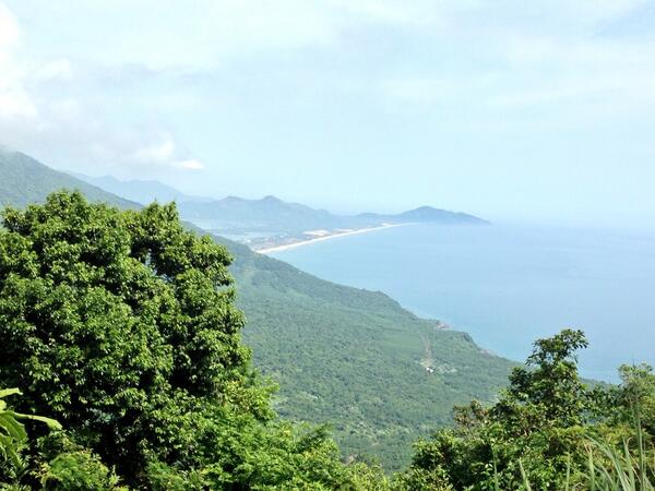 Dao Hoang tweet media