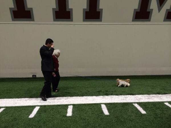 ByTimReynolds's tweet photo. “@AndrewSiciliano: RT @AlbertBreer: Barbara Bush walking the family dogs at Pro Day. Nbd. #JohnnyFest  http://t.co/M4LIFO9aKb”