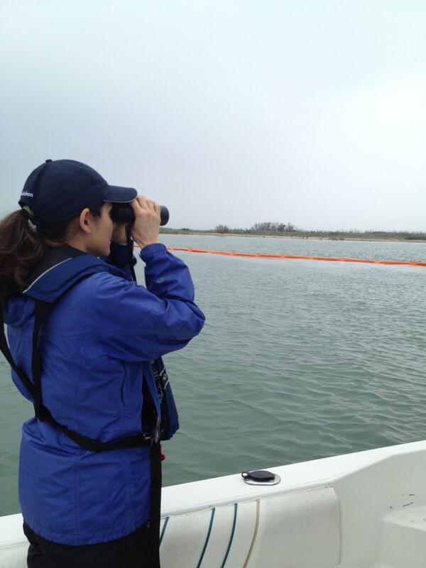 PHOTO: <a href="/AudubonTexas/">Audubon Texas</a> Director of Conservation Iliana Peña surveying Sundown Island. No oil yet, but still concerned.