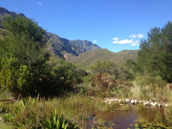 #absacapeepic view from my treatment table.