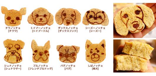 素晴らしきスイーツの世界 コロレ 犬型スイーツ ノッチョーラ かわいい犬型のヘーゼルナッツのケーキ ノッチョーラは白砂糖は使用せず 体に優しいてんさい糖を使用しています Http T Co Axpkjbrnzp