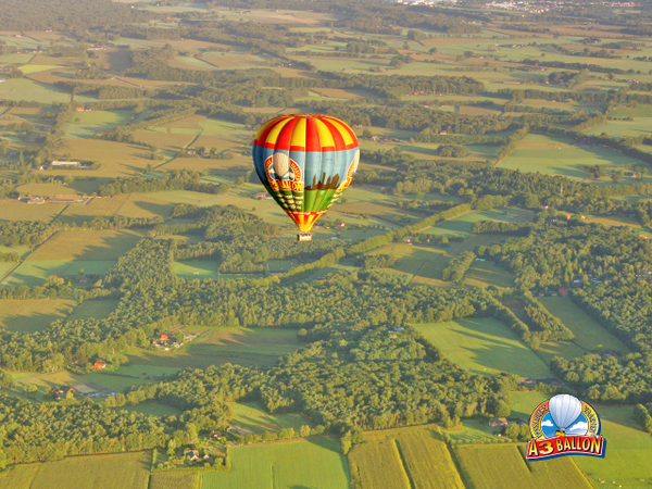 A3 Ballon tweet media