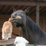 Photo by FrontierWesternShop (@FrontierWestern)