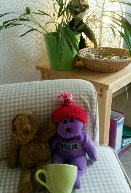 spybear007's tweet image. #SPYTEAM. We are having nice cuppa at HQ. If you see Miya anywhere you must tell us and apprehend. BEAR ALERT.