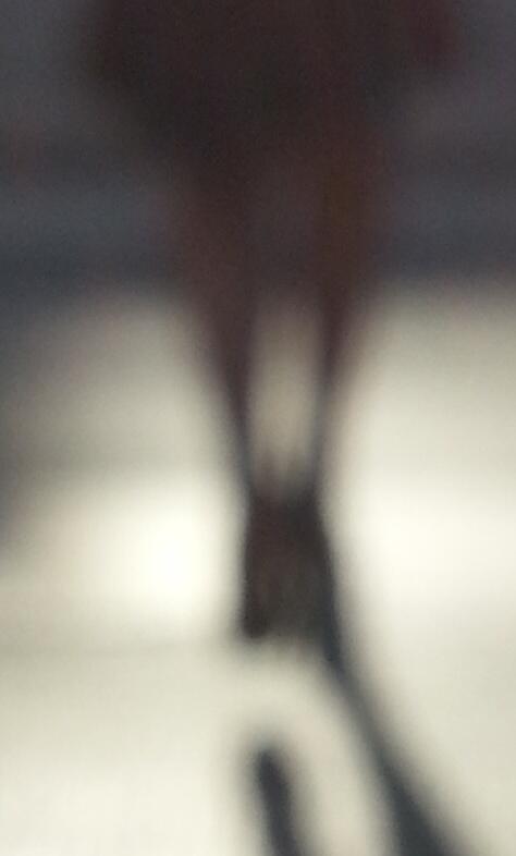 Douceur des fantômes 5.