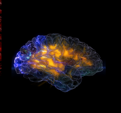 mickeyhart's tweet photo. #glassbrain=Fly thru my brain.@adamgazz #GTC14 Keynote #rhythm #oculusrift #rhythmandthebrain http://t.co/fGPgB7eB10 http://t.co/pphiOIrPpY