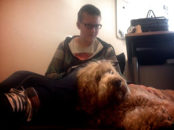 JorisKreugel's tweet photo. @BCenschede hond invloed op kids met leer gedragsproblemen luister http://t.co/jAhIX5cx6G @RadioEenVandaag @Juul0708 http://t.co/DJ2xuNpPVd