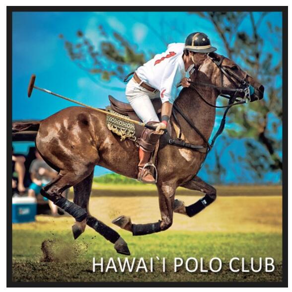 HIPoloLife's tweet photo. http://t.co/AM9poCecrC #hawaiipolo #hawaiipoloclub #polofun #beachpolo #tailgating #hawaiipololife #HIPoloassn http://t.co/XSpfPBoxpw