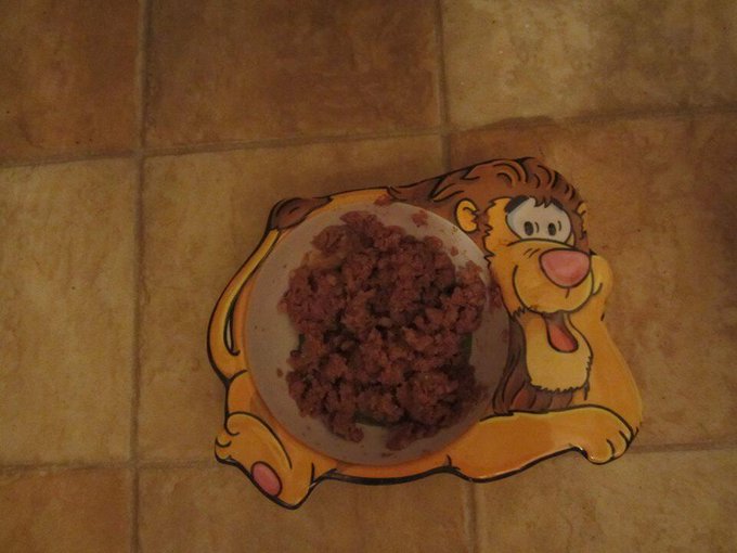 ... und unter dem Tisch... http://t.co/6QUcDN2QwM