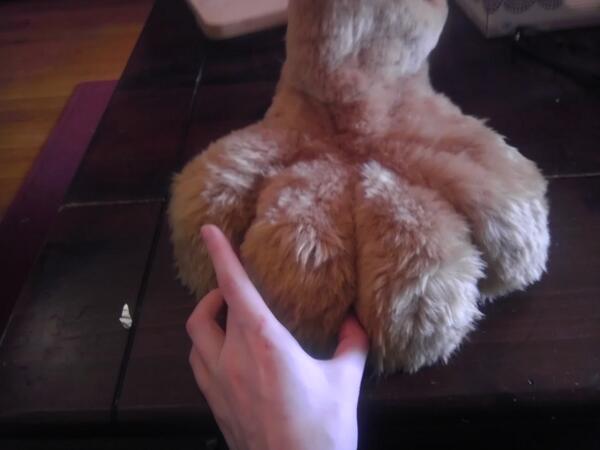 untamedfur's tweet photo. This lil piggy went to market. http://t.co/rJ9bjDPfg5