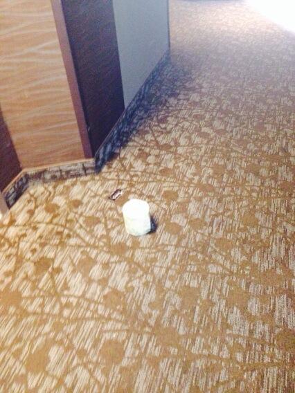 Odd things in the hallway. Pt. 1