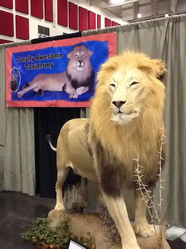 Real or not real see at the #kozlmanshow