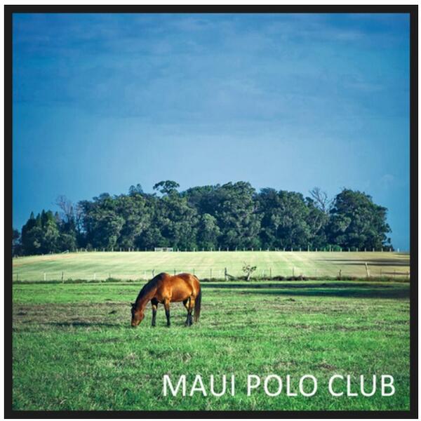 HIPoloLife's tweet photo. http://t.co/AM9poCecrC #mauipoloclub #mauipolo #upcountry #paniolopolo #hawaiipololife #paniolo #hawaiipoloassn http://t.co/jWNn86m0bi