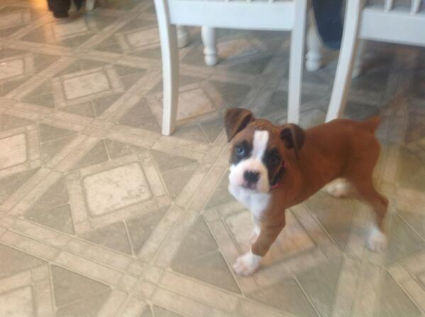 Lisa (@ljfrank67) on Twitter photo 