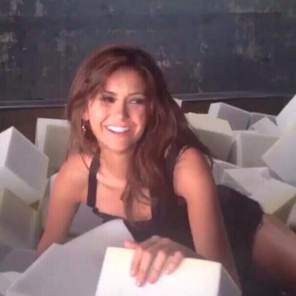 LoyalFirstMate's tweet image. 