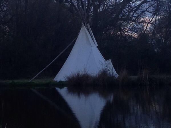 dbtepees's tweet image. 